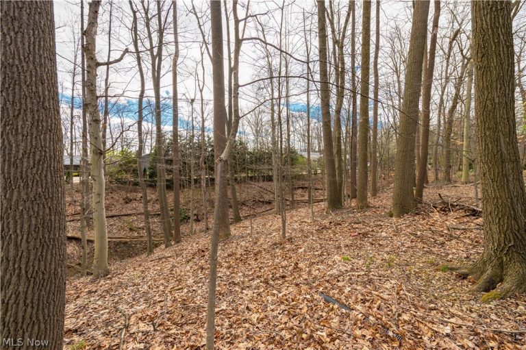 12101 The Bluffs, Strongsville, OH - Photo 8