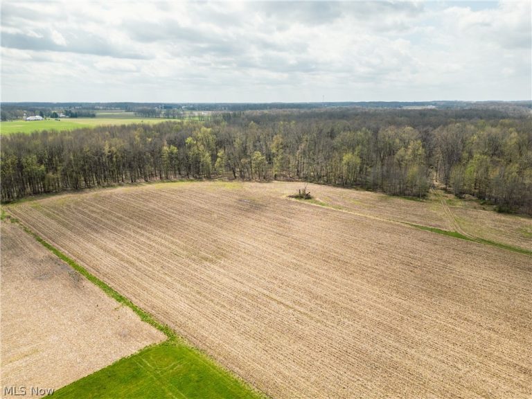 Steiner Road, Creston, OH - Photo 3