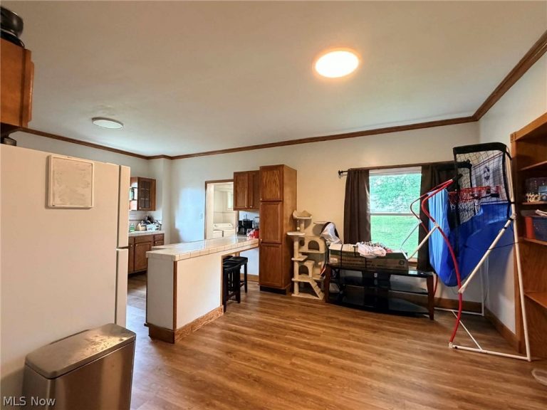 231 Front Street, Philo, OH - Photo 6