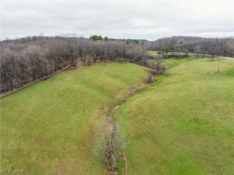 SR-516, Dundee, OH - Photo 8