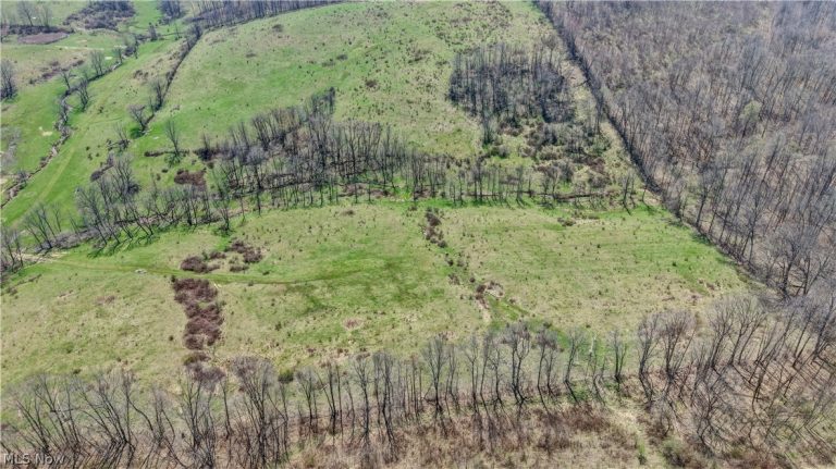 Township Road 127, Millersburg, OH - Photo 5