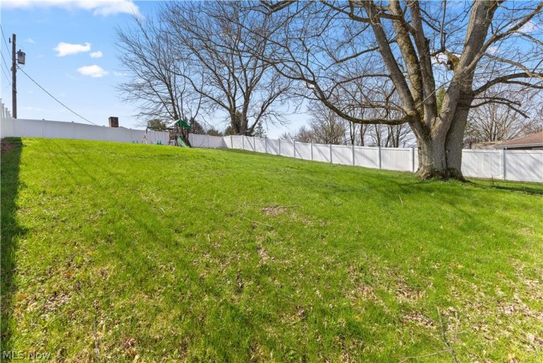 145 Locust Boulevard, Wintersville, OH - Photo 8