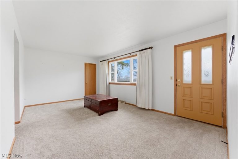 157 LOUISE Street, Rittman, OH - Photo 4