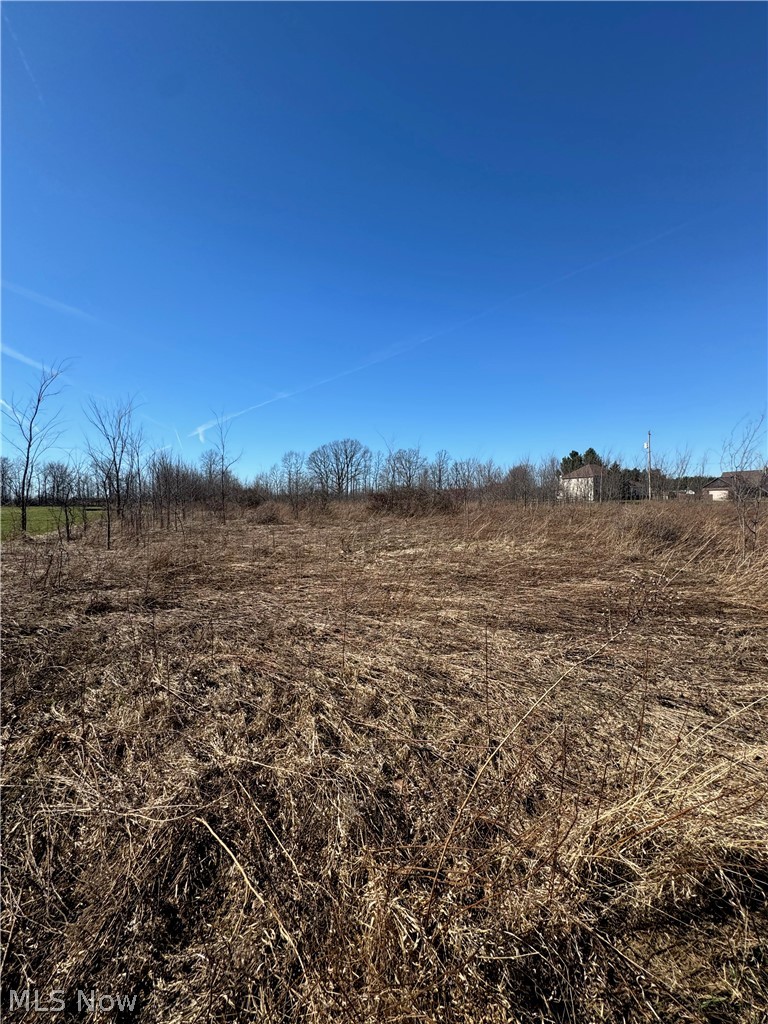 3790 Station Road, Medina, OH - Photo 2