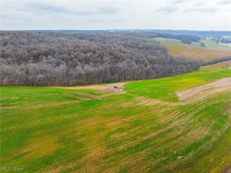 N American Road, Dover, OH - Photo 6