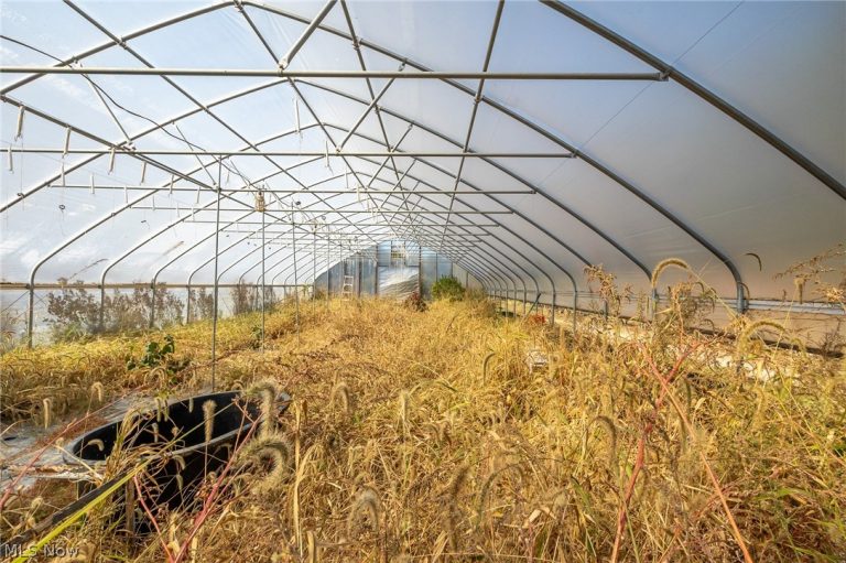 7168 Case Road, North Ridgeville, OH - Photo 6