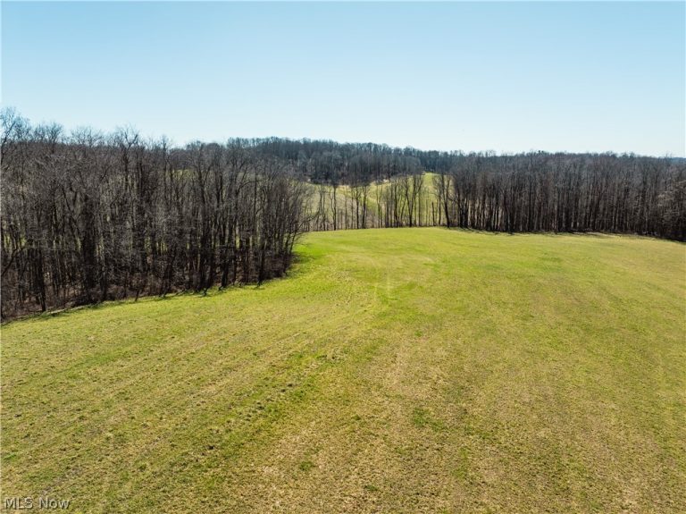 Burrier Road, Jewett, OH - Photo 4