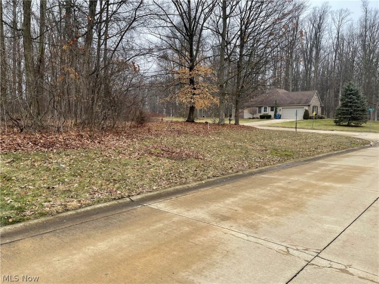 V/L 260 Stony Brook Lane, Wakeman, OH - Photo 5