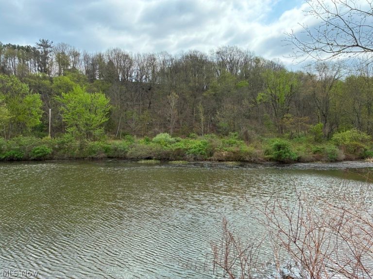Ohio River Blvd, New Cumberland, WV - Photo 2