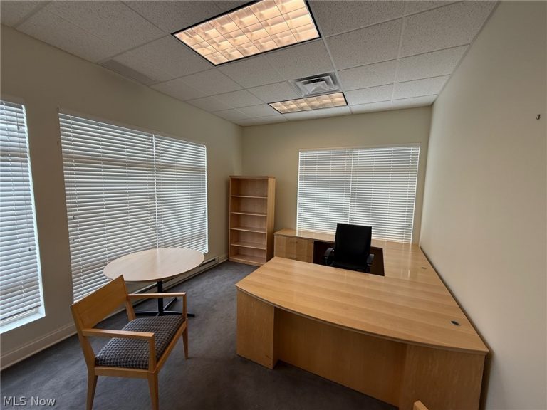 31320 Solon Road #19, Solon, OH - Photo 6