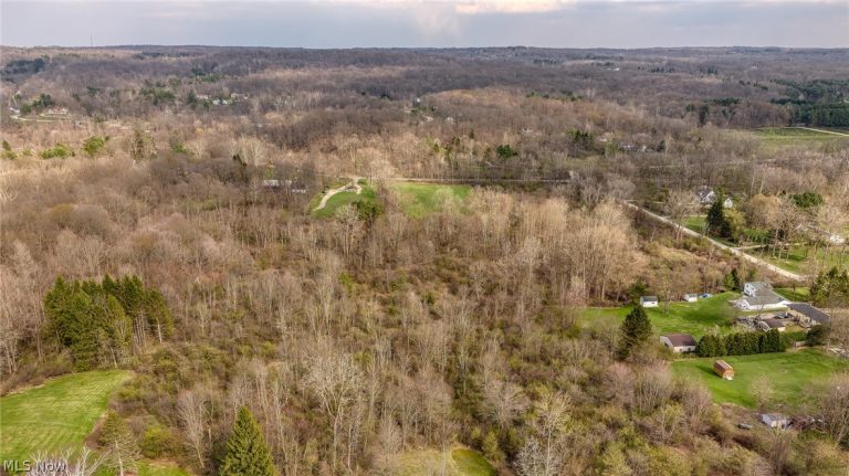 V/L Dewey Road, Kirtland, OH - Photo 8
