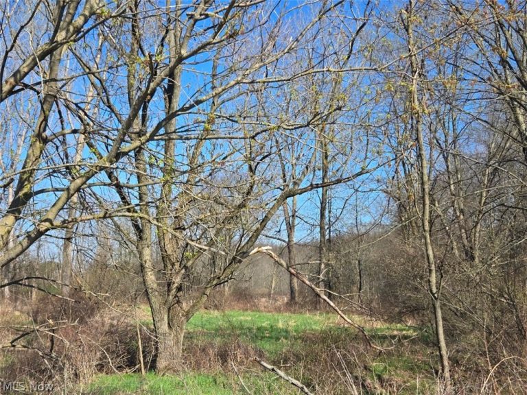 11154 Shetler Avenue, Bolivar, OH - Photo 6