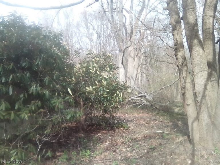 50 Oakland Boulevard, Conneaut, OH - Photo 8
