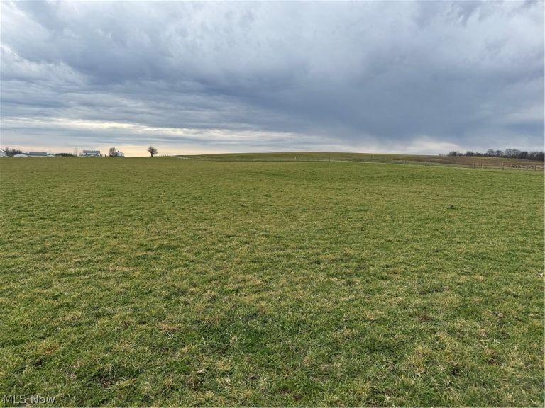 Township Road 613, Fredericksburg, OH - Photo 6