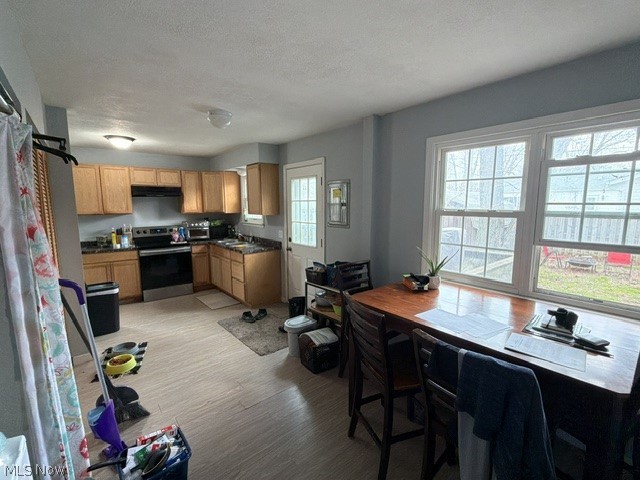 1451 Oldsmar Avenue, Madison, OH - Photo 5