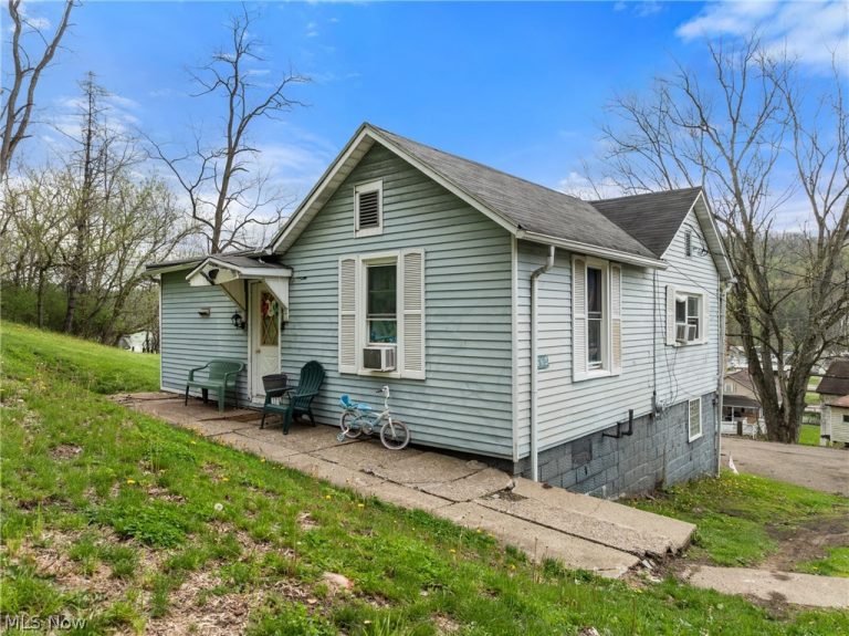 134 Coss Street, Dillonvale, OH - Photo 2