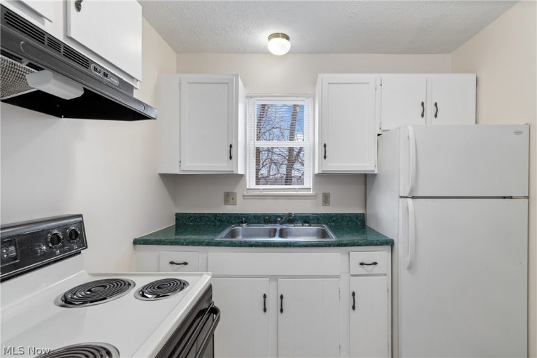 732 Vernon Odom Boulevard, Akron, OH - Photo 4