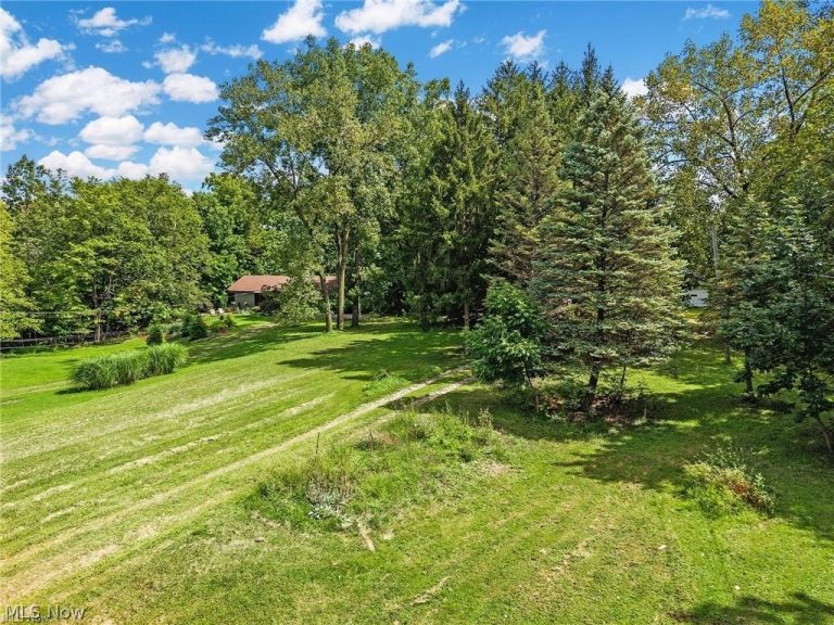 18229 Howe Road, Strongsville, OH - Photo 6