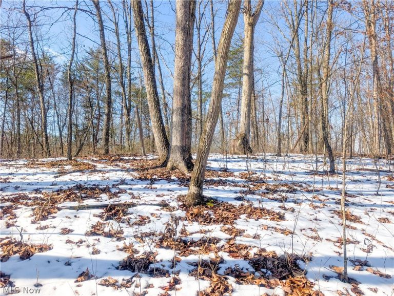 0 Tract 16 Ch 59, Cutler, OH - Photo 3