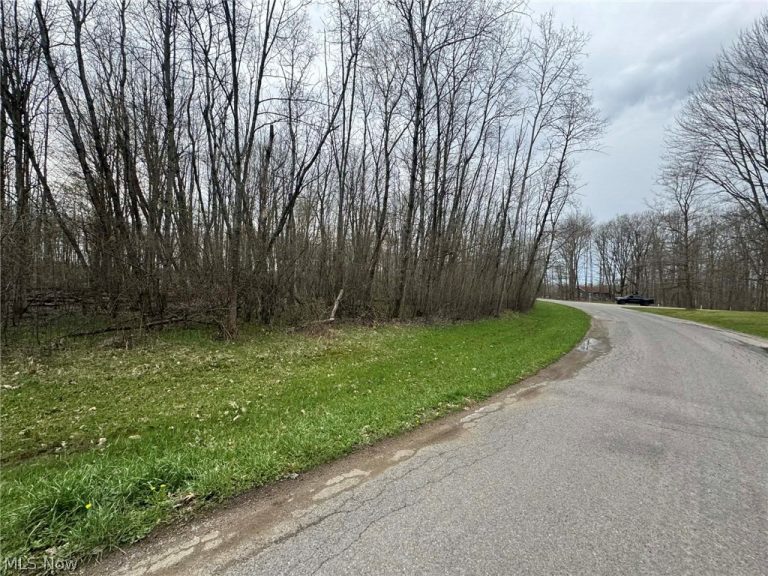 1753 Morning Star Drive, Roaming Shores, OH - Photo 8