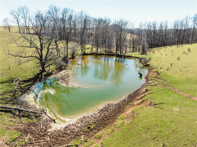 91100 Eckley Road, Jewett, OH - Photo 6