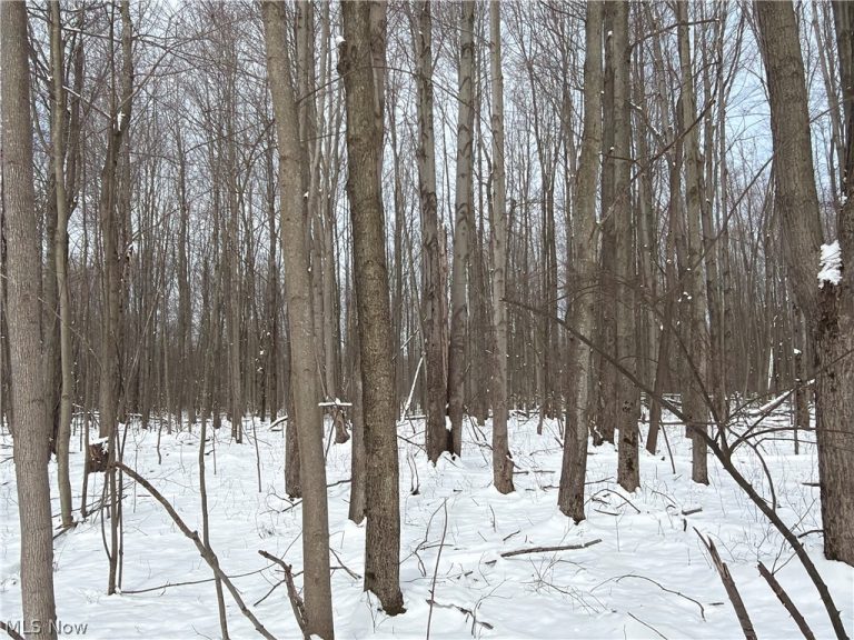 Munson Hill Road, Ashtabula, OH - Photo 6