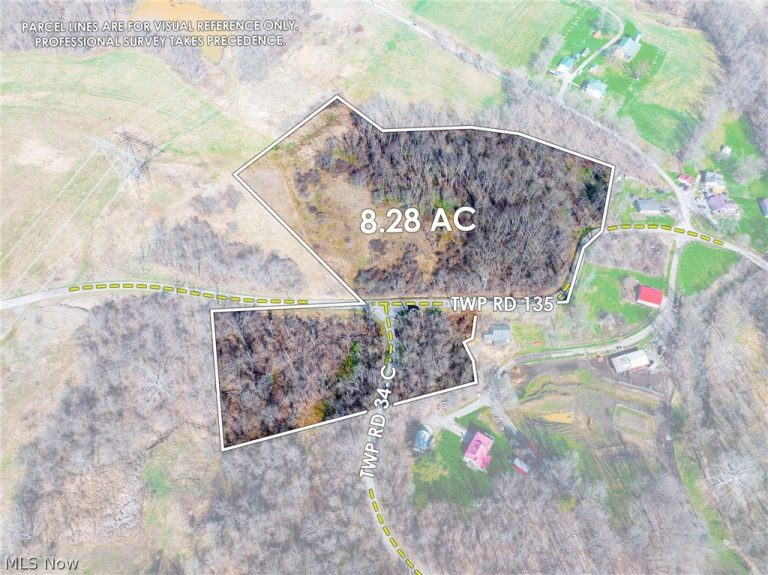 Township Road 135, Dillonvale, OH - Photo 3