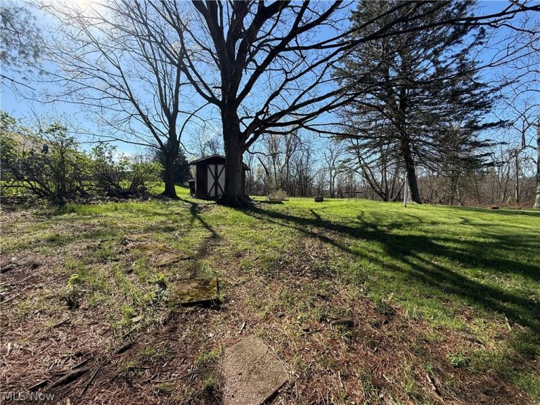 115 Grove Street, Wintersville, OH - Photo 4