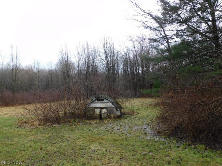 1790 Dadeyville Road, Austinburg, OH - Photo 2