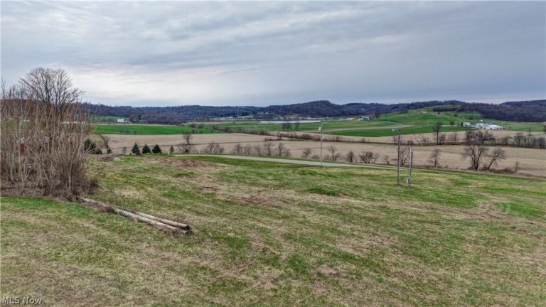 10316 Lower Trail Road, Dundee, OH - Photo 3