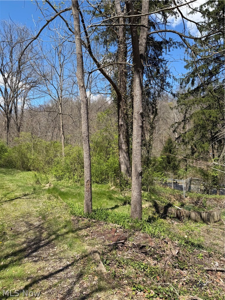2615 Yellow Creek Road, Akron, OH - Photo 6