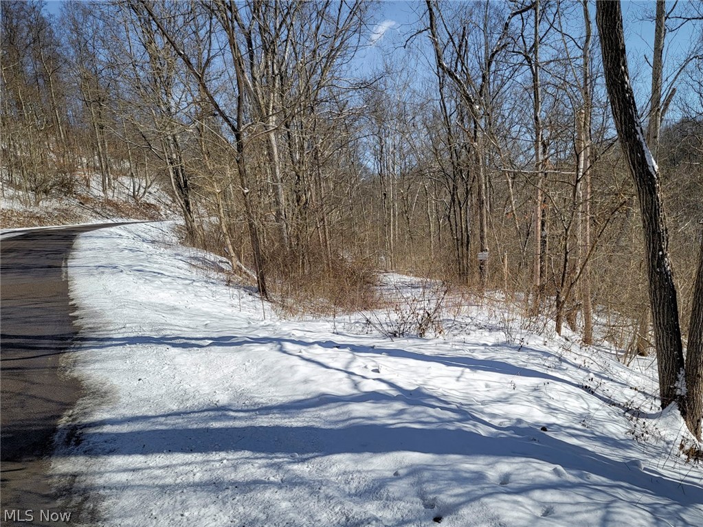 Tract 11 Miltonsburg-Calais Road, Woodsfield, OH