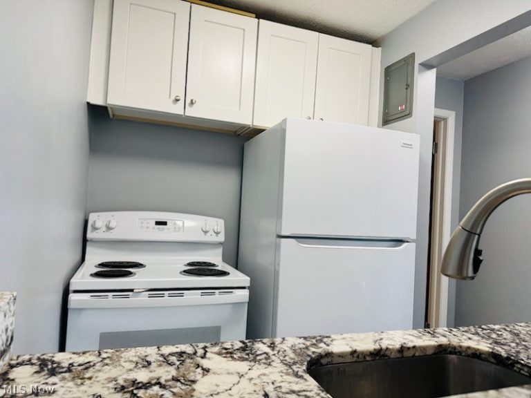 14567 Madison Avenue #505, Lakewood, OH - Photo 6