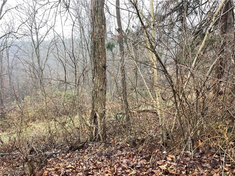 16 Woodcliff Acres, Washington, WV, 26181