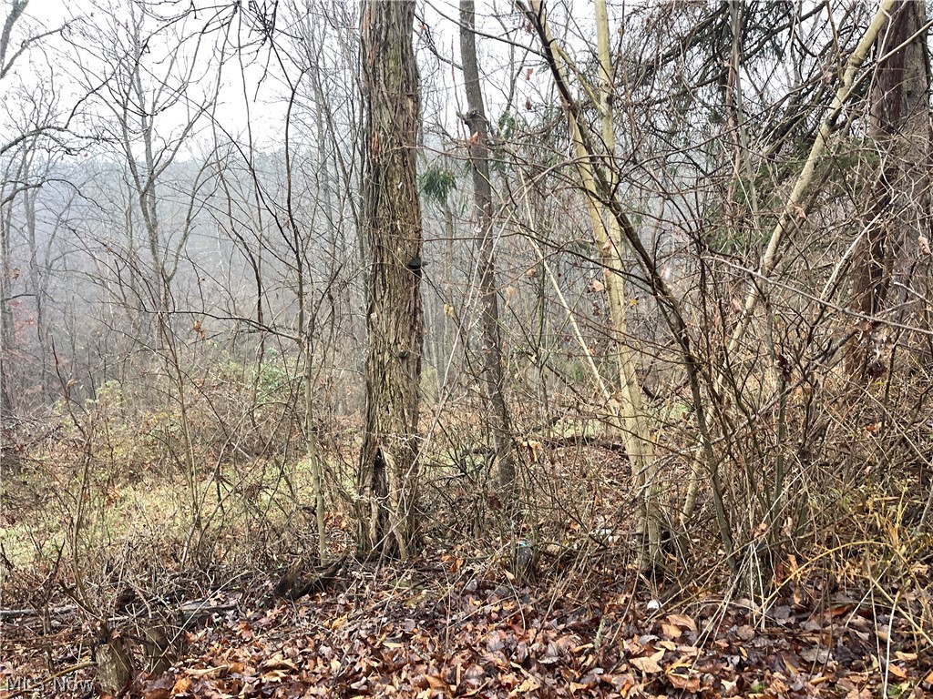 16 Woodcliff Acres, Washington, WV