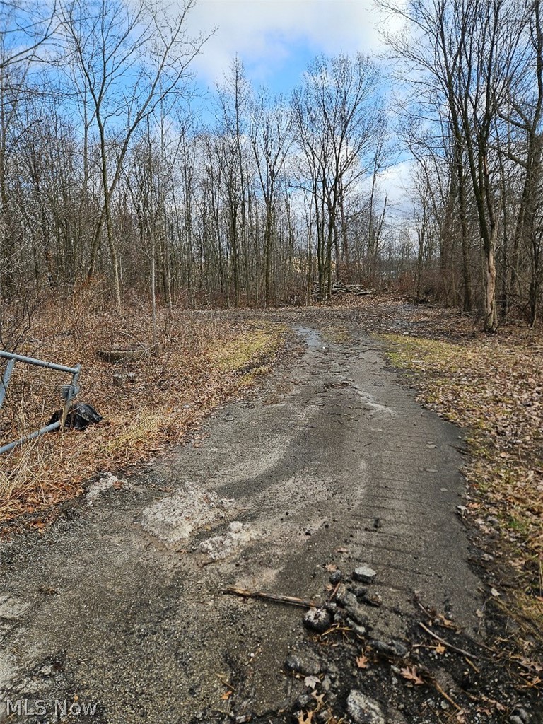 Ashley Circle, Austintown, OH - Photo 2