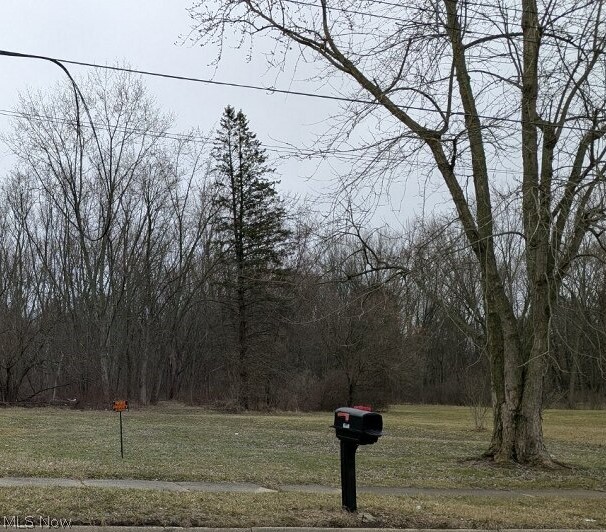 1653 Mohawk Drive, Akron, OH - Photo 2