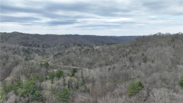 Sugar Creek Road, St Marys, WV - Photo 5