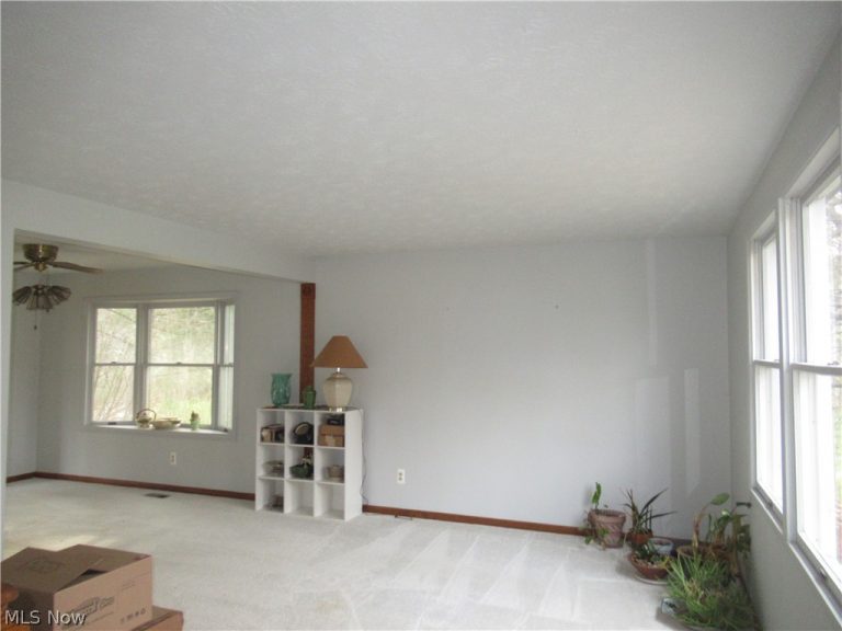 6919 Kirk Road, Canfield, OH - Photo 3