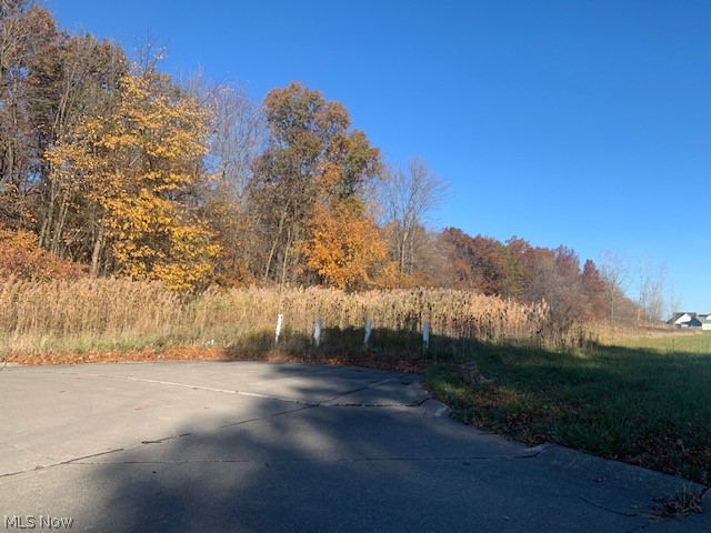0000 Courtyard Drive, Lorain, OH - Photo 4