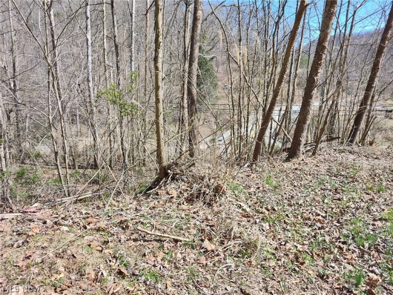 Route 119, Clendenin, WV - Photo 3