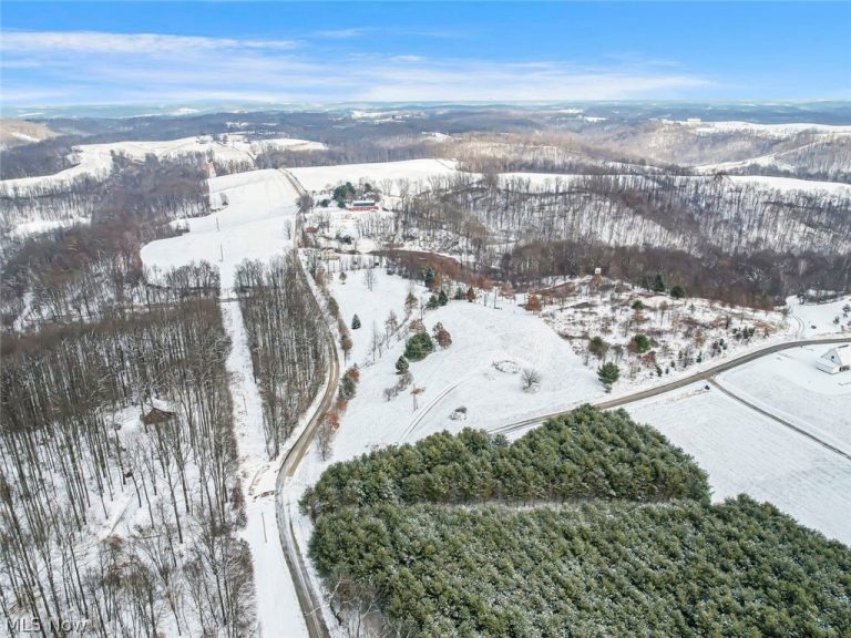 87085 Crall Road, Scio, OH - Photo 3