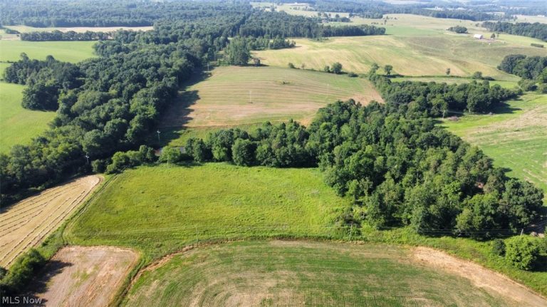 15150 Smith Road, Wellsville, OH - Photo 3