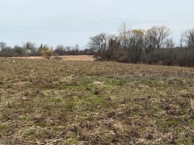Madison Road, Madison, OH - Photo 4