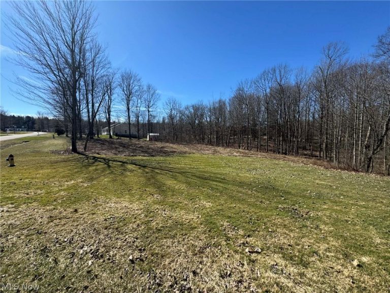 Buttonwood Lane, Ashtabula, OH - Photo 6