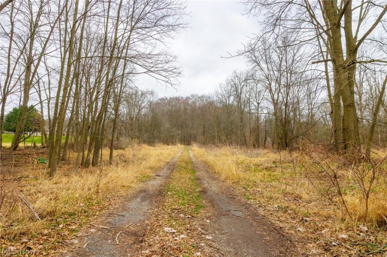 Pigeon Run Avenue, Navarre, OH - Photo 8