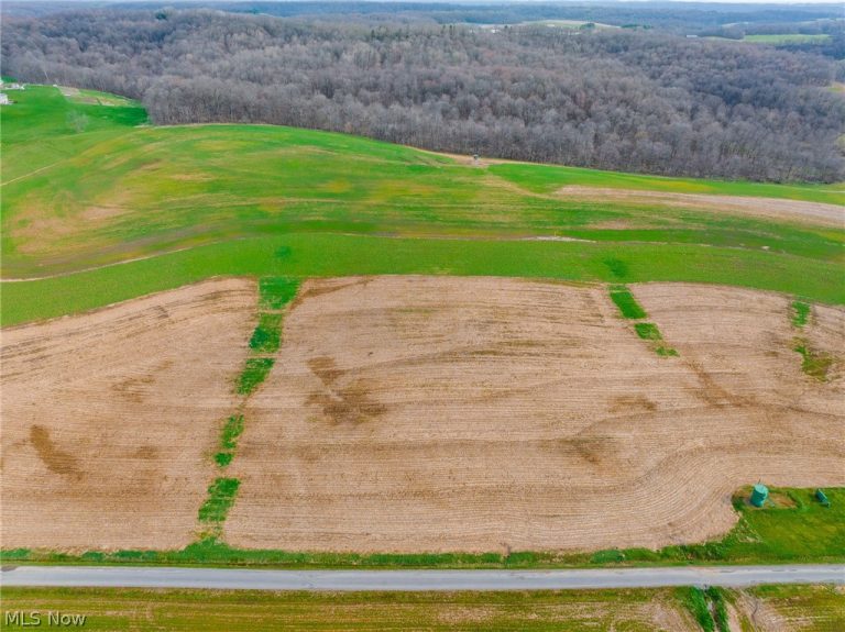 N American Road, Dover, OH - Photo 3
