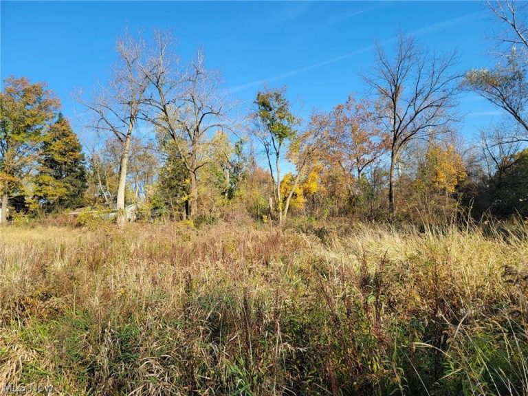 V/L EAST Avenue, Elyria, OH - Photo 2