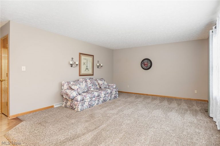8746 Northstar Circle, Seville, OH - Photo 4