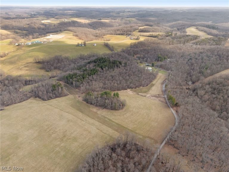 Scroll Road, Carrollton, OH - Photo 4